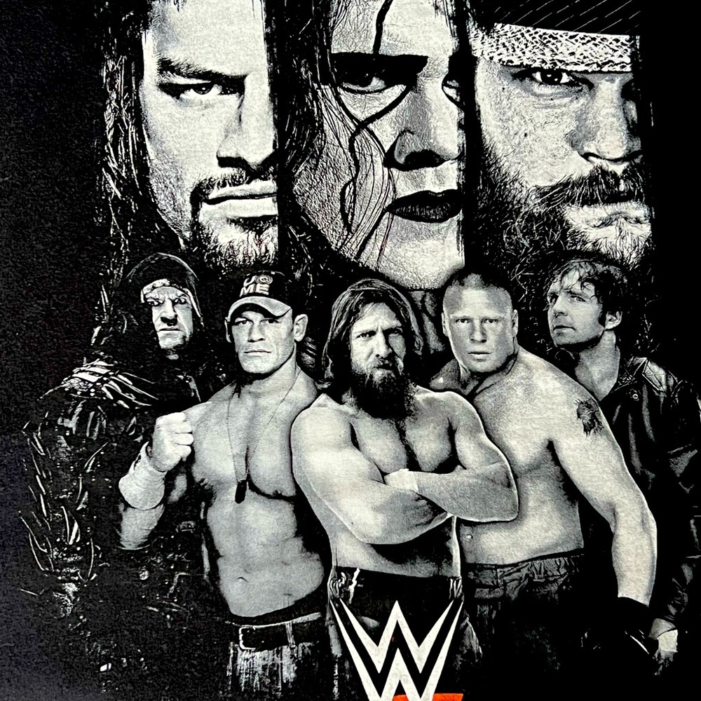 Vintage 2013 WWE WWF T-Shirt 2XL - Bray, Lesnar, Cena, Sting , Undertaker